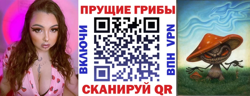 Галлюциногенные грибы MAGIC MUSHROOMS где купить наркоту Нижнекамск